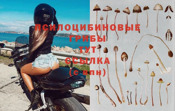 a pvp Алексин