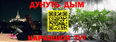 гидра Ачхой-Мартан