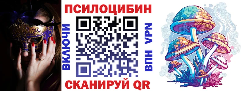 blacksprut как зайти  Ачинск  Псилоцибиновые грибы MAGIC MUSHROOMS  где купить  
