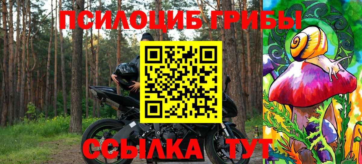 Псилоцибиновые грибы Cubensis  Вход с VPN  Ачинск 